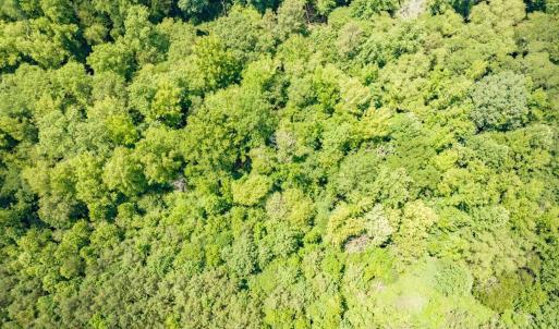 15-015-588RufusCBurnetteDr-Land-20250611