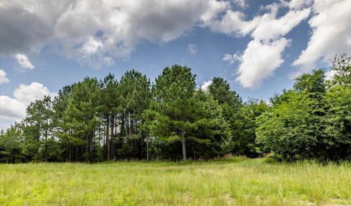 23-023-588RufusCBurnetteDr-Land-20250611