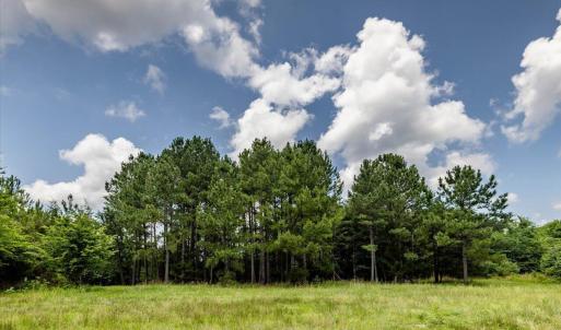 24-024-588RufusCBurnetteDr-Land-20250611