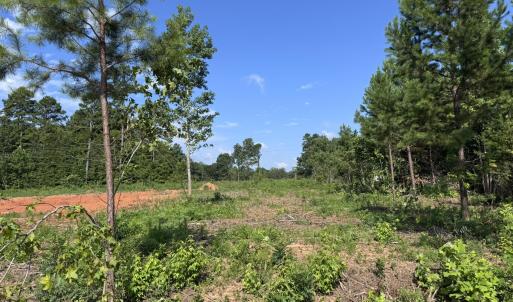 lot 2 3