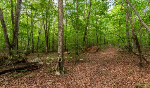 DSC_5019-HDR