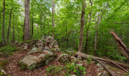 DSC_5021-HDR