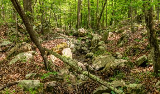 DSC_5027-HDR