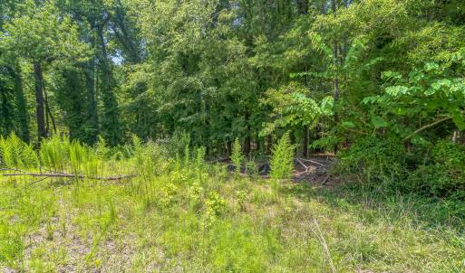 14_115_N_Estes_Dr_Chapel_Hill_NC_27514_U