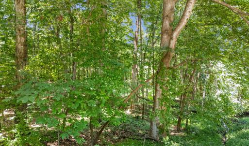16-web-or-mls-DJI_20250804132809_0679_D