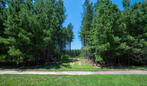 247Larkington-10