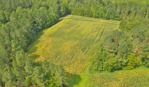 DJI_0544