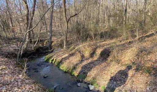 ROLLING CREEK DR-PIC OF CREEK