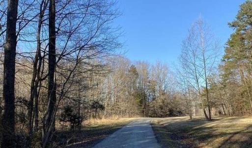 ROLLING CREEK-DRIVEWAY