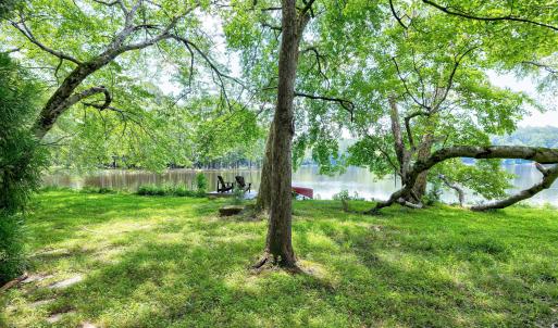 Lakeshore Scene-40