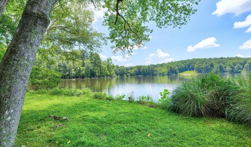 Lakeshore Scene-34