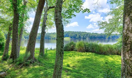 Lakeshore Scene-33
