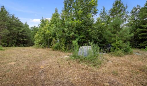 11-web-or-mls-P1077610