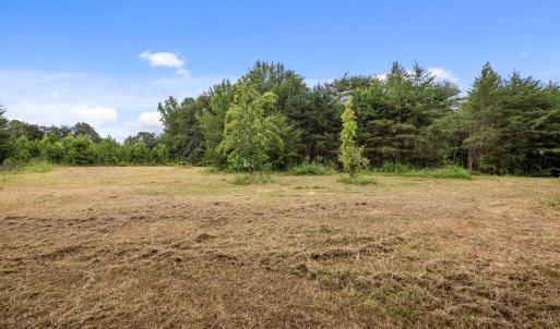 14-web-or-mls-P1077613