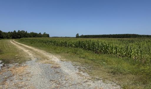 land view
