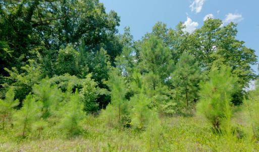 Fayetteville Tract Ground Still08
