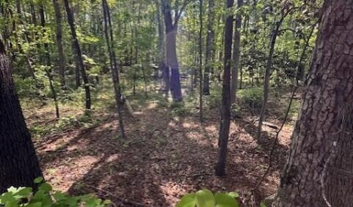 4302 Cheek Woods