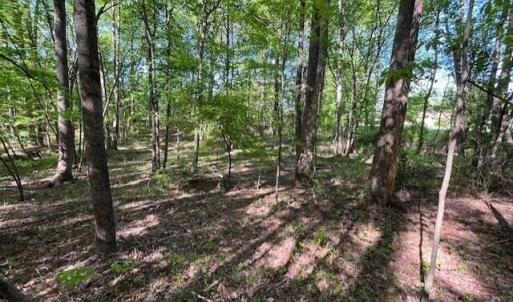 4304 Cheek towards easement