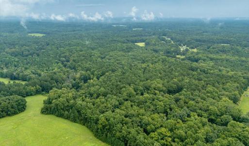 10-Heron Pond Dr - Drone 10