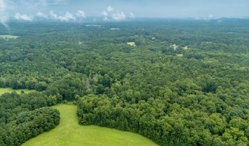 11-Heron Pond Dr - Drone 11
