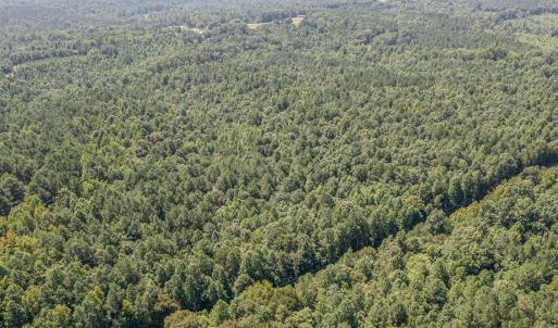 dji_0086-edit_587