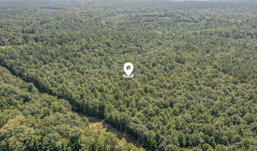 dji_0088-edit-edit_80