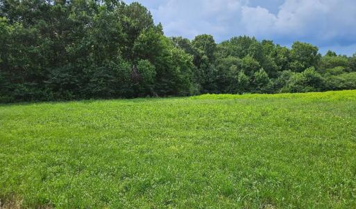 chriscoe.field2