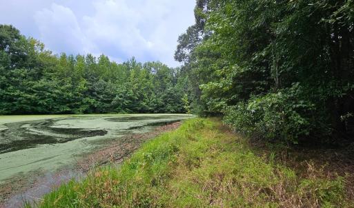 chriscoe.pond3