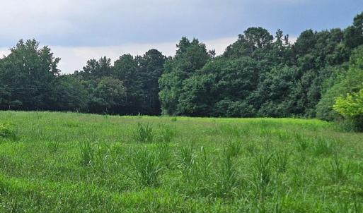 chriscoe.field8