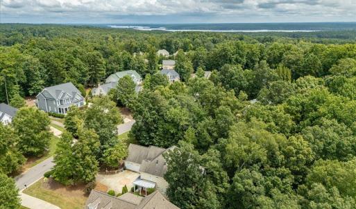 05-244 Brown Bear Drone-08