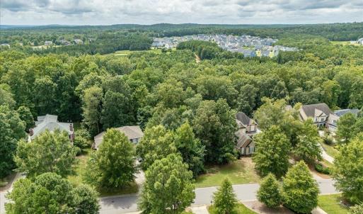 11-244 Brown Bear Drone-02