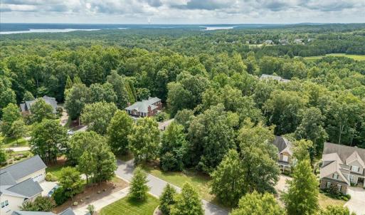 01-244 Brown Bear Drone-11