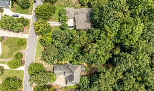 02-244 Brown Bear Drone-12