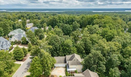 04-244 Brown Bear Drone-09