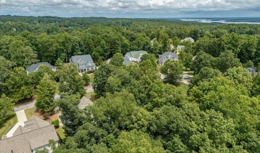 06-244 Brown Bear Drone-07