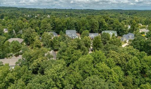 07-244 Brown Bear Drone-06