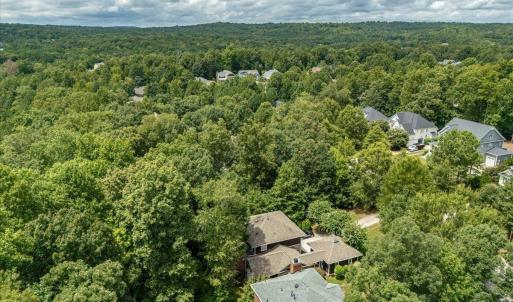 08-244 Brown Bear Drone-05