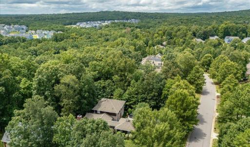 09-244 Brown Bear Drone-04