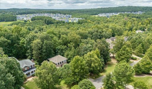 10-244 Brown Bear Drone-03