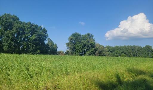 Resized_20250818_165452