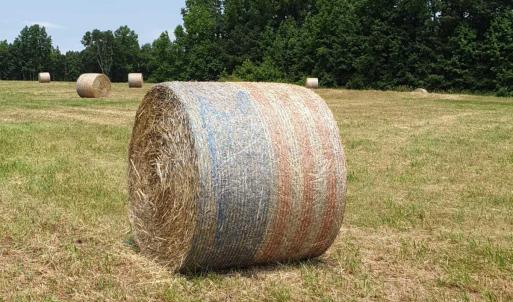 IMG-20240617-WA0004_192176675759292