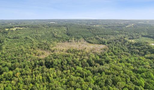 3-web-or-mls-DJI_0025