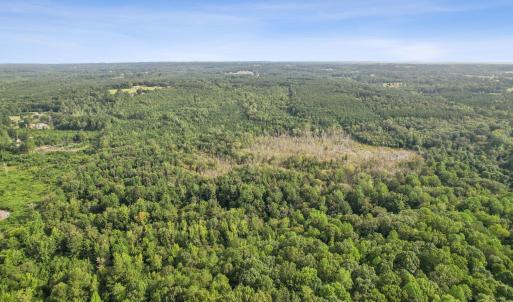 4-web-or-mls-DJI_0026