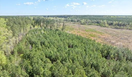 07-DJI_0879