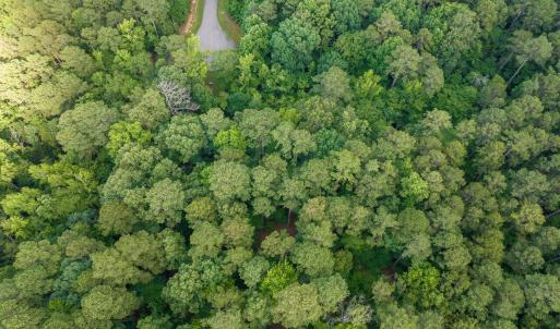 015-105Pennington-Lot64-Windfall-2025061