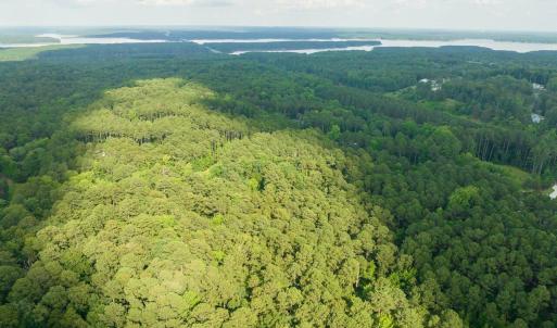 012-105Pennington-Lot64-Windfall-2025061
