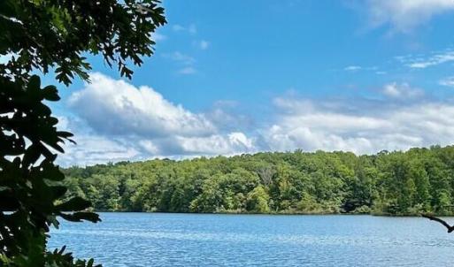 LOT 3 GRAPEVINE DR-VIEW FROM LOT