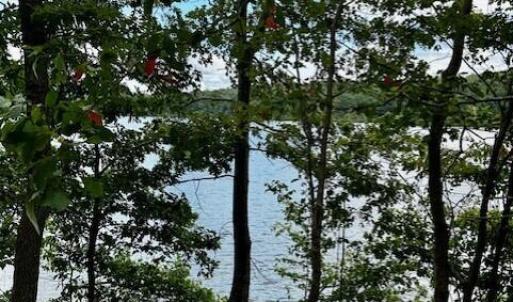 LOT 3 GRAPEVINE VIEW FROM BUILDING SITE