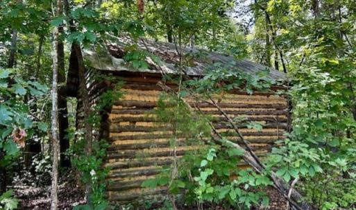 LOT 3-GRAPEVINE LOG BARN