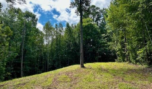 LOT 3 GRAPEVINE DR-CLEARED AREA 2